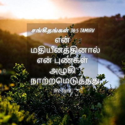 Picture 04 - சங்கீதங்கள் 38:5 TAMIRV - என் - Bible Verse Picture