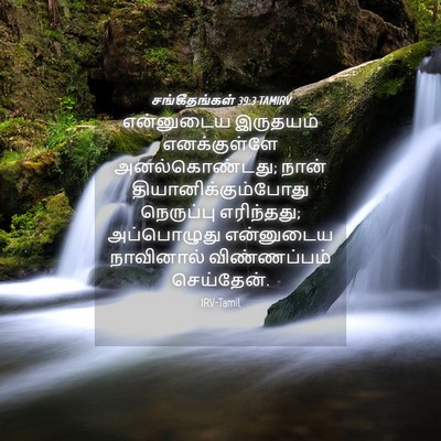 Picture 04 - சங்கீதங்கள் 39:3 TAMIRV - என்னுடைய இருதயம் - Bible Verse Picture