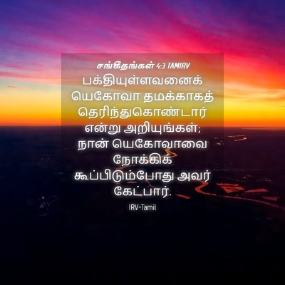 Picture 04 - சங்கீதங்கள் 4:3 TAMIRV - பக்தியுள்ளவனைக் - Bible Verse Picture