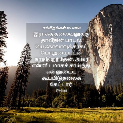 Picture 04 - சங்கீதங்கள் 40:1 TAMIRV - இராகத் தலைவனுக்கு - Bible Verse Picture