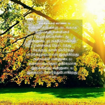 Picture 04 - சங்கீதங்கள் 40:12 TAMIRV - எண்ணிக்கைக்கு - Bible Verse Picture