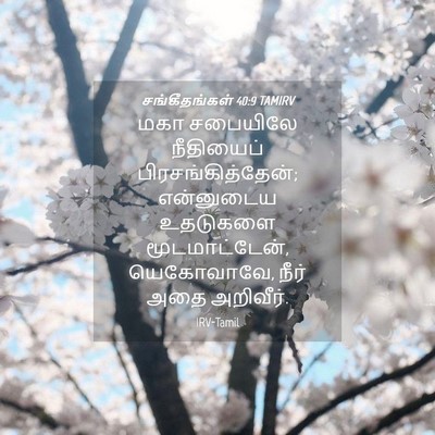 Picture 04 - சங்கீதங்கள் 40:9 TAMIRV - மகா சபையிலே - Bible Verse Picture