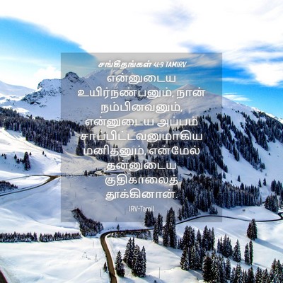 Picture 04 - சங்கீதங்கள் 41:9 TAMIRV - என்னுடைய - Bible Verse Picture