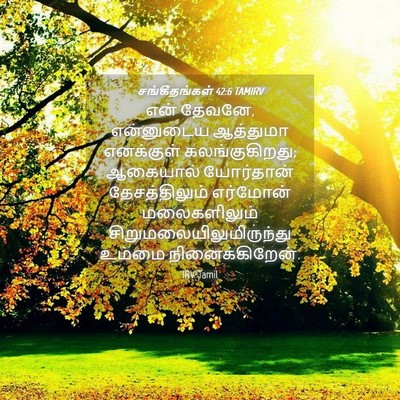 Picture 04 - சங்கீதங்கள் 42:6 TAMIRV - என் தேவனே, - Bible Verse Picture