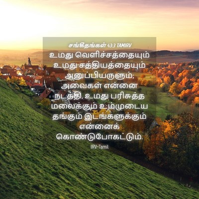 Picture 04 - சங்கீதங்கள் 43:3 TAMIRV - உமது - Bible Verse Picture