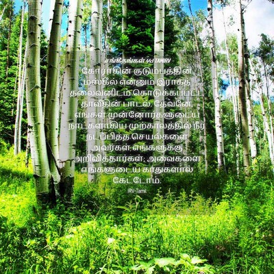 Picture 04 - சங்கீதங்கள் 44:1 TAMIRV - கோராகின் - Bible Verse Picture