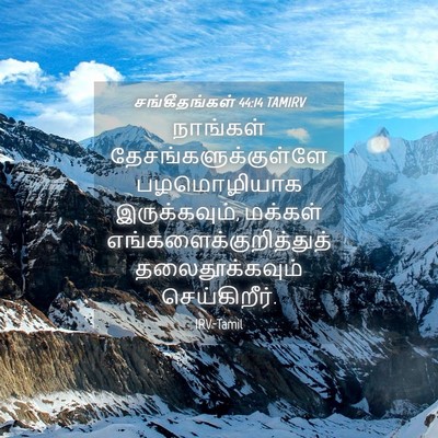 Picture 04 - சங்கீதங்கள் 44:14 TAMIRV - நாங்கள் - Bible Verse Picture