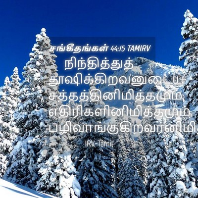 Picture 04 - சங்கீதங்கள் 44:15 TAMIRV - நிந்தித்துத் - Bible Verse Picture