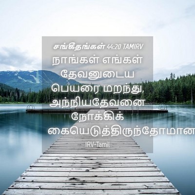 Picture 04 - சங்கீதங்கள் 44:20 TAMIRV - நாங்கள் எங்கள் - Bible Verse Picture