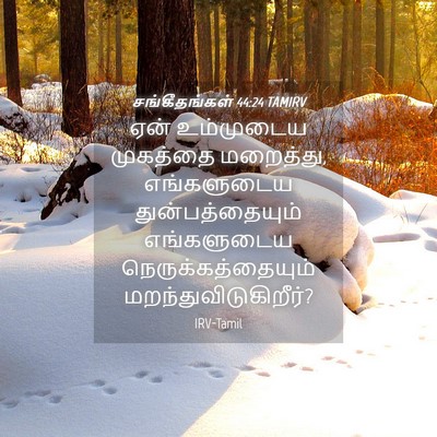 Picture 04 - சங்கீதங்கள் 44:24 TAMIRV - ஏன் உம்முடைய - Bible Verse Picture