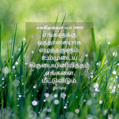 Picture 04 - சங்கீதங்கள் 44:26 TAMIRV - எங்களுக்கு - Bible Verse Picture