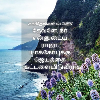 Picture 04 - சங்கீதங்கள் 44:4 TAMIRV - தேவனே, நீர் - Bible Verse Picture