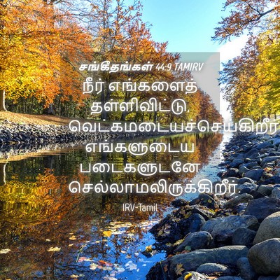 Picture 04 - சங்கீதங்கள் 44:9 TAMIRV - நீர் எங்களைத் - Bible Verse Picture
