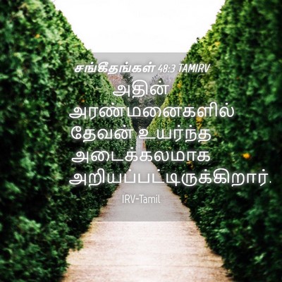 Picture 04 - சங்கீதங்கள் 48:3 TAMIRV - அதின் - Bible Verse Picture
