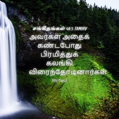 Picture 04 - சங்கீதங்கள் 48:5 TAMIRV - அவர்கள் அதைக் - Bible Verse Picture