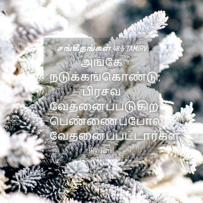 Picture 04 - சங்கீதங்கள் 48:6 TAMIRV - அங்கே - Bible Verse Picture
