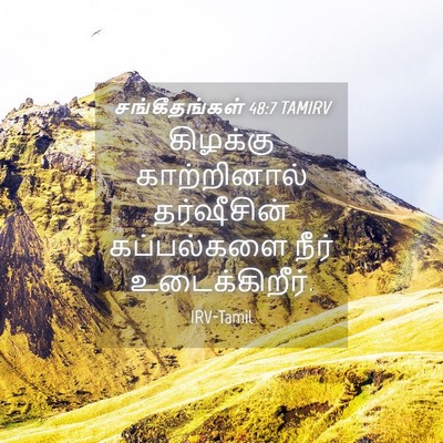 Picture 04 - சங்கீதங்கள் 48:7 TAMIRV - கிழக்கு - Bible Verse Picture