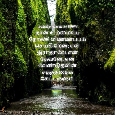 Picture 04 - சங்கீதங்கள் 5:2 TAMIRV - நான் உம்மையே - Bible Verse Picture
