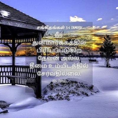 Picture 04 - சங்கீதங்கள் 5:4 TAMIRV - நீர் - Bible Verse Picture