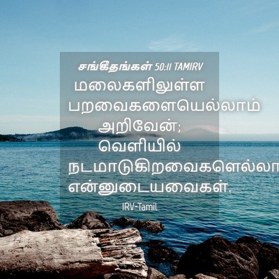Picture 04 - சங்கீதங்கள் 50:11 TAMIRV - மலைகளிலுள்ள - Bible Verse Picture