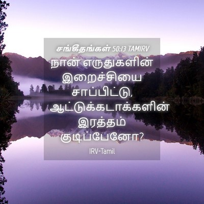 Picture 04 - சங்கீதங்கள் 50:13 TAMIRV - நான் எருதுகளின் - Bible Verse Picture