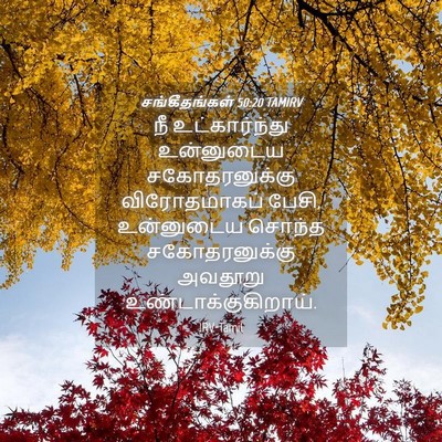 Picture 04 - சங்கீதங்கள் 50:20 TAMIRV - நீ உட்கார்ந்து - Bible Verse Picture