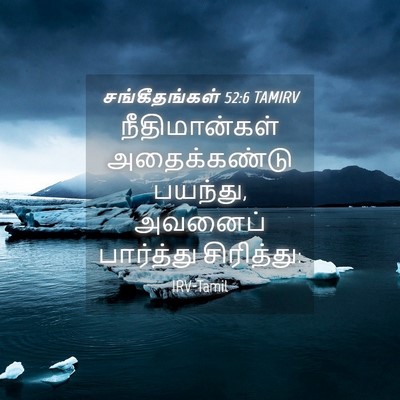Picture 04 - சங்கீதங்கள் 52:6 TAMIRV - நீதிமான்கள் - Bible Verse Picture