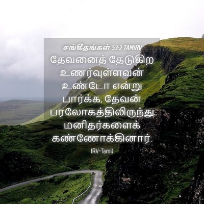 Picture 04 - சங்கீதங்கள் 53:2 TAMIRV - தேவனைத் தேடுகிற - Bible Verse Picture