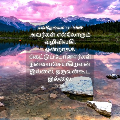 Picture 04 - சங்கீதங்கள் 53:3 TAMIRV - அவர்கள் எல்லோரும் - Bible Verse Picture