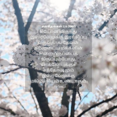 Picture 04 - சங்கீதங்கள் 53:6 TAMIRV - சீயோனிலிருந்து - Bible Verse Picture