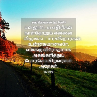 Picture 04 - சங்கீதங்கள் 56:2 TAMIRV - என்னுடைய எதிரிகள் - Bible Verse Picture