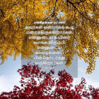 Picture 04 - சங்கீதங்கள் 56:6 TAMIRV - அவர்கள் ஒன்றாகக் - Bible Verse Picture