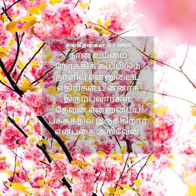 Picture 04 - சங்கீதங்கள் 56:9 TAMIRV - நான் உம்மை - Bible Verse Picture