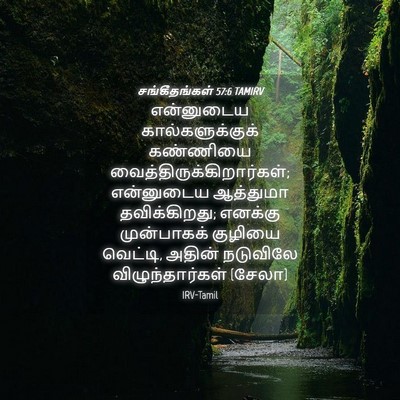 Picture 04 - சங்கீதங்கள் 57:6 TAMIRV - என்னுடைய - Bible Verse Picture