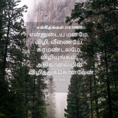 Picture 04 - சங்கீதங்கள் 57:8 TAMIRV - என்னுடைய மனமே, - Bible Verse Picture