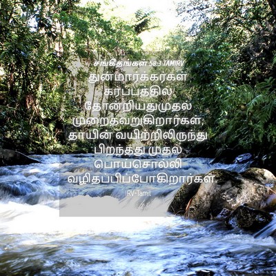 Picture 04 - சங்கீதங்கள் 58:3 TAMIRV - துன்மார்க்கர்கள் - Bible Verse Picture