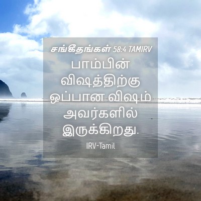 Picture 04 - சங்கீதங்கள் 58:4 TAMIRV - பாம்பின் - Bible Verse Picture