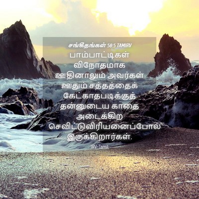 Picture 04 - சங்கீதங்கள் 58:5 TAMIRV - பாம்பாட்டிகள் - Bible Verse Picture