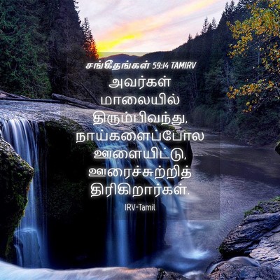 Picture 04 - சங்கீதங்கள் 59:14 TAMIRV - அவர்கள் மாலையில் - Bible Verse Picture