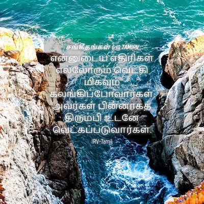 Picture 04 - சங்கீதங்கள் 6:10 TAMIRV - என்னுடைய எதிரிகள் - Bible Verse Picture