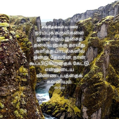 Picture 04 - சங்கீதங்கள் 61:1 TAMIRV - நரம்புக் கருவிகளை - Bible Verse Picture