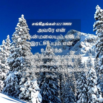 Picture 04 - சங்கீதங்கள் 62:2 TAMIRV - அவரே என் - Bible Verse Picture