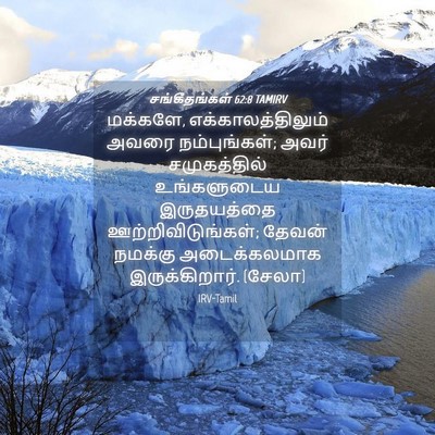 Picture 04 - சங்கீதங்கள் 62:8 TAMIRV - மக்களே, - Bible Verse Picture