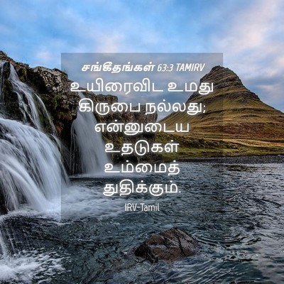 Picture 04 - சங்கீதங்கள் 63:3 TAMIRV - உயிரைவிட உமது - Bible Verse Picture