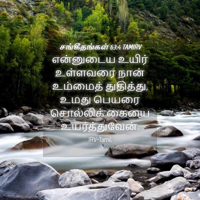Picture 04 - சங்கீதங்கள் 63:4 TAMIRV - என்னுடைய உயிர் - Bible Verse Picture