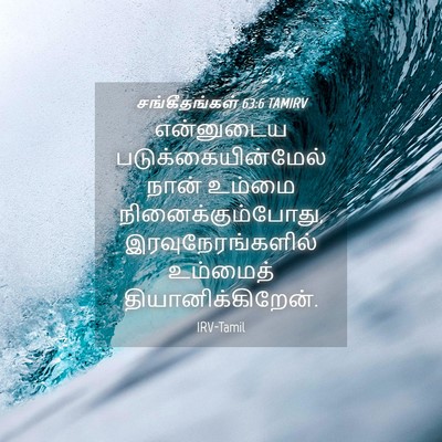 Picture 04 - சங்கீதங்கள் 63:6 TAMIRV - என்னுடைய - Bible Verse Picture