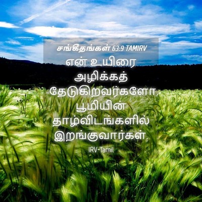 Picture 04 - சங்கீதங்கள் 63:9 TAMIRV - என் உயிரை - Bible Verse Picture