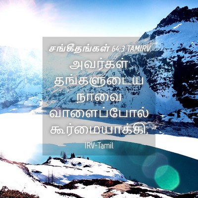 Picture 04 - சங்கீதங்கள் 64:3 TAMIRV - அவர்கள் தங்களுடைய - Bible Verse Picture