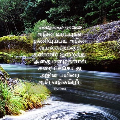 Picture 04 - சங்கீதங்கள் 65:10 TAMIRV - அதின் வரப்புகள் - Bible Verse Picture