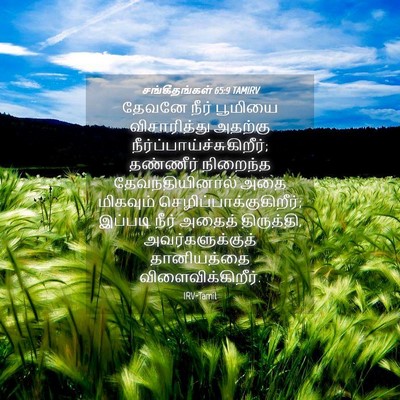 Picture 04 - சங்கீதங்கள் 65:9 TAMIRV - தேவனே நீர் பூமியை - Bible Verse Picture
